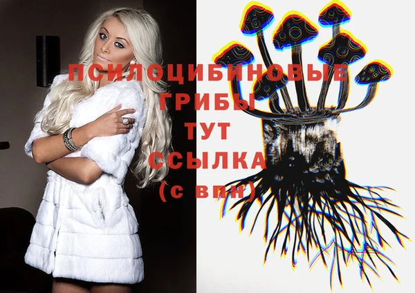 гидропоника Абдулино
